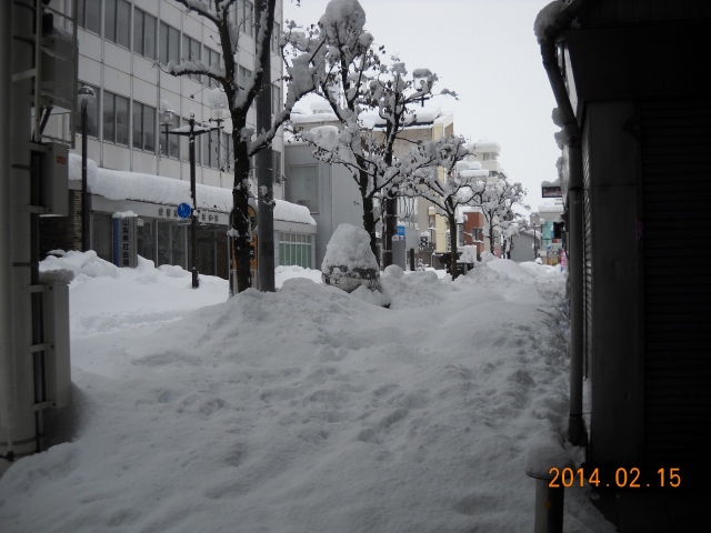 紅梅北通り　佐藤金物店前から東側の歩道を望む