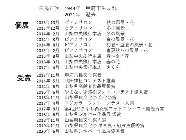 白鳥正次さんの履歴　個展　受賞