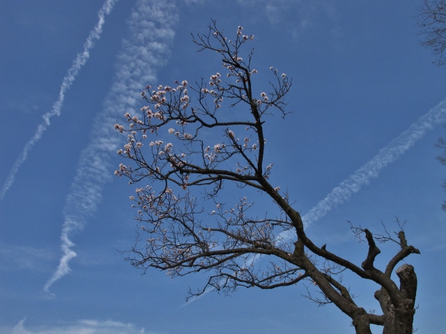 2014年3月29日