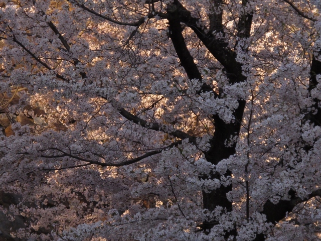 2014年4月5日