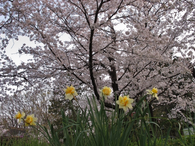 2014年4月8日