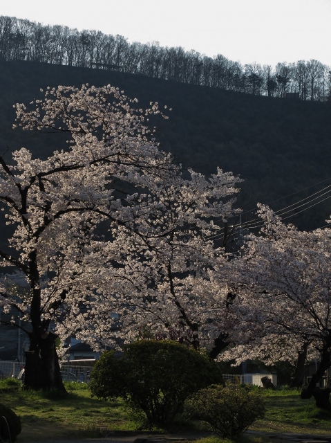 2014年4月8日