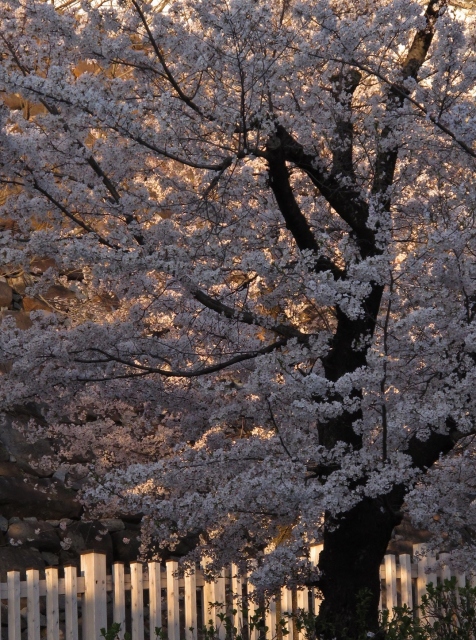 2014年4月5日