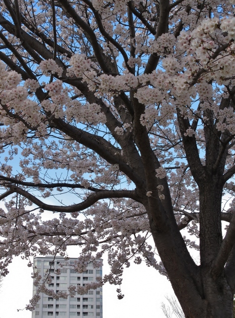 2014年4月6日